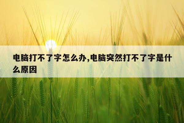电脑打不了字怎么办,电脑突然打不了字是什么原因