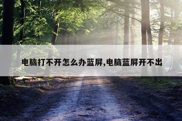 电脑打不开怎么办蓝屏,电脑蓝屏开不出