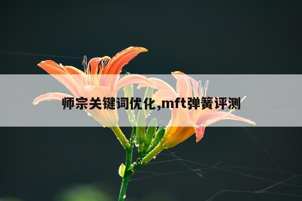 师宗关键词优化,mft弹簧评测