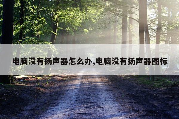 电脑没有扬声器怎么办,电脑没有扬声器图标