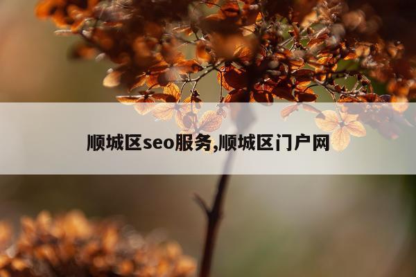 顺城区seo服务,顺城区门户网