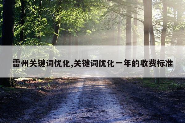雷州关键词优化,关键词优化一年的收费标准
