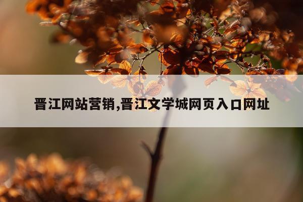晋江网站营销,晋江文学城网页入口网址