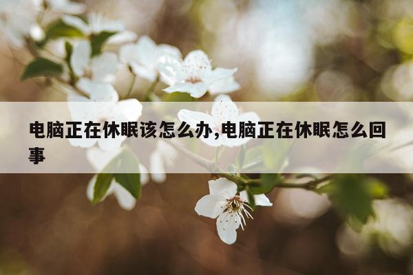 电脑正在休眠该怎么办,电脑正在休眠怎么回事
