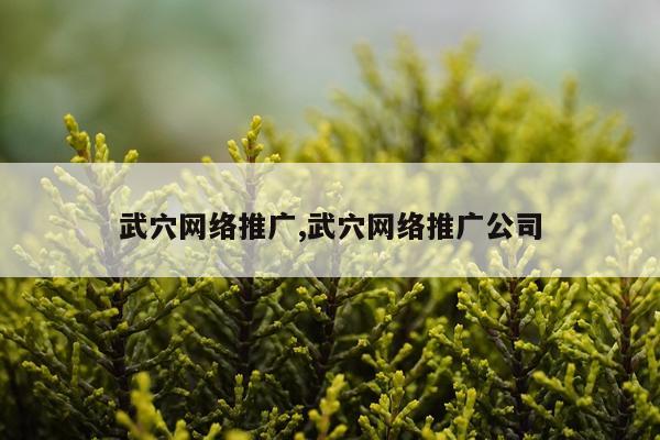 武穴网络推广,武穴网络推广公司