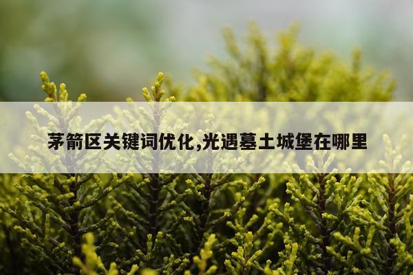茅箭区关键词优化,光遇墓土城堡在哪里