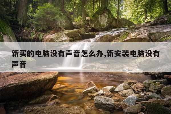 新买的电脑没有声音怎么办,新安装电脑没有声音