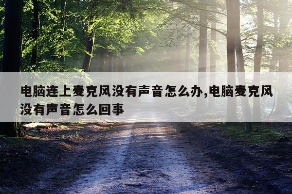 电脑连上麦克风没有声音怎么办,电脑麦克风没有声音怎么回事