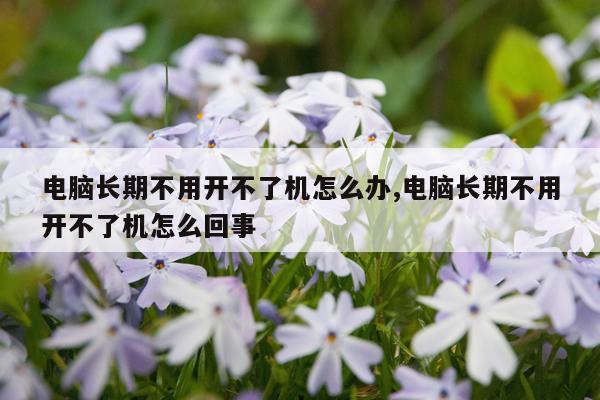电脑长期不用开不了机怎么办,电脑长期不用开不了机怎么回事