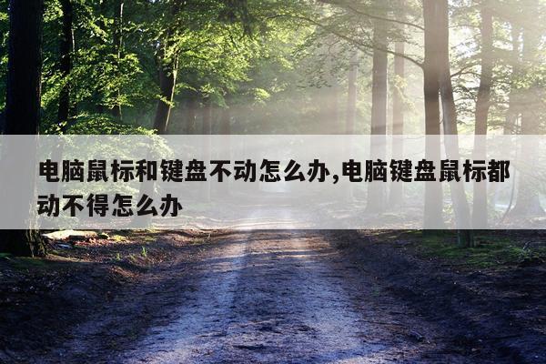 电脑鼠标和键盘不动怎么办,电脑键盘鼠标都动不得怎么办