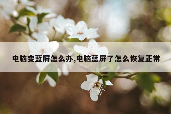 电脑变蓝屏怎么办,电脑蓝屏了怎么恢复正常