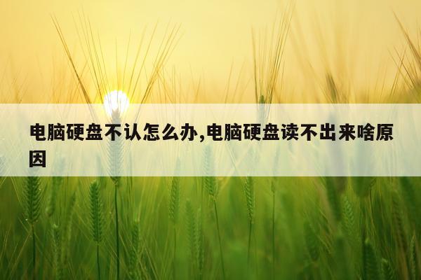 电脑硬盘不认怎么办,电脑硬盘读不出来啥原因