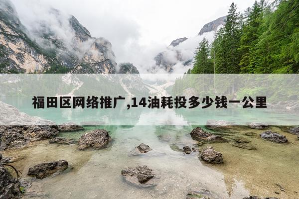 福田区网络推广,14油耗投多少钱一公里