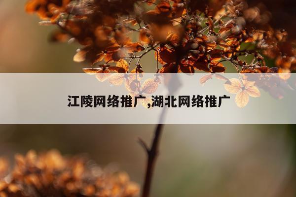 江陵网络推广,湖北网络推广