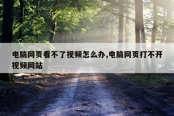 电脑网页看不了视频怎么办,电脑网页打不开视频网站