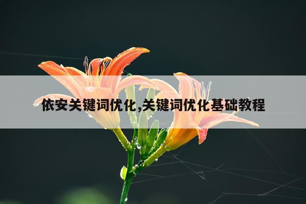 依安关键词优化,关键词优化基础教程