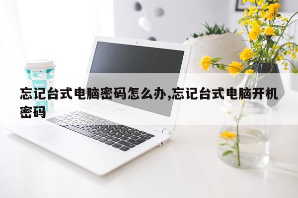 忘记台式电脑密码怎么办,忘记台式电脑开机密码