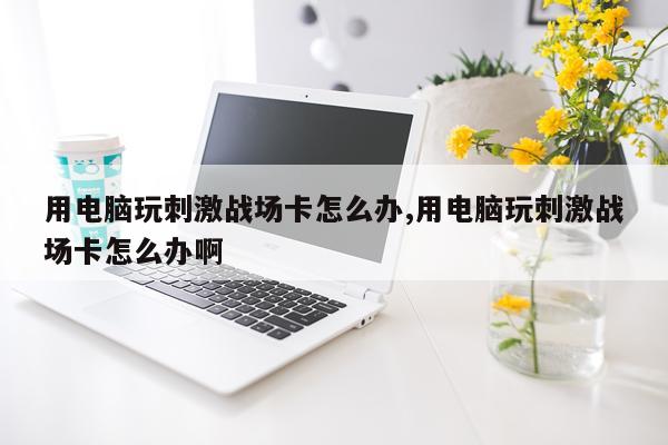用电脑玩刺激战场卡怎么办,用电脑玩刺激战场卡怎么办啊