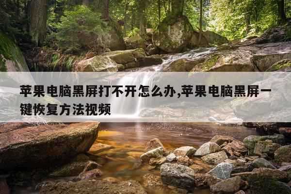 苹果电脑黑屏打不开怎么办,苹果电脑黑屏一键恢复方法视频