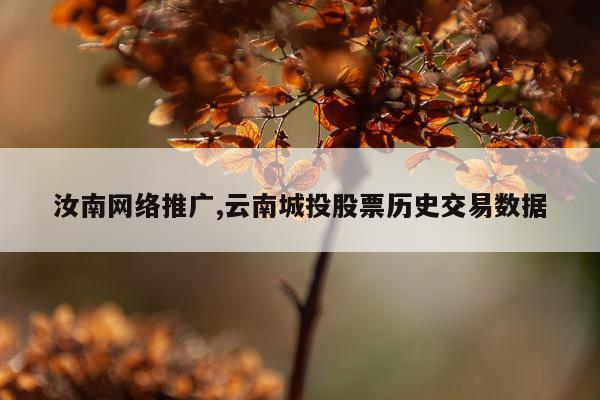 汝南网络推广,云南城投股票历史交易数据