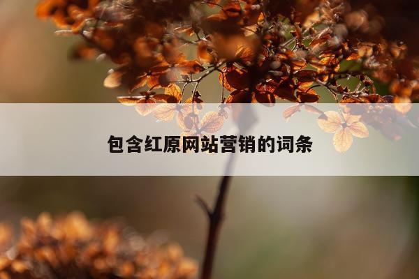 包含红原网站营销的词条