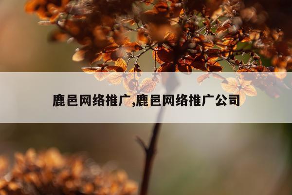 鹿邑网络推广,鹿邑网络推广公司
