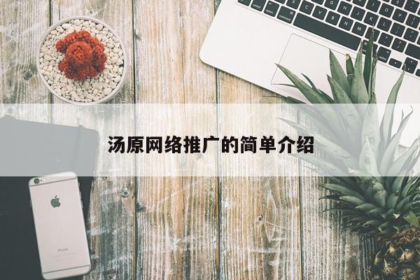 汤原网络推广的简单介绍