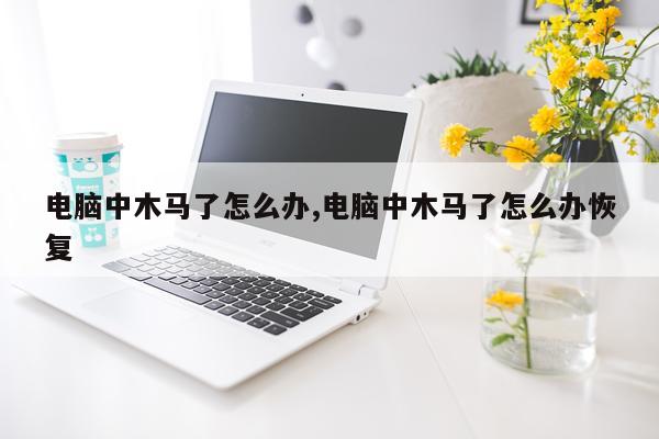 电脑中木马了怎么办,电脑中木马了怎么办恢复