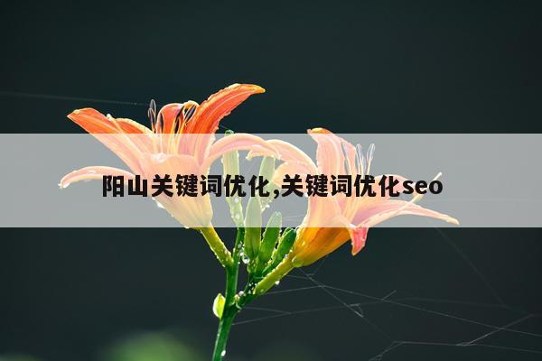 阳山关键词优化,关键词优化seo