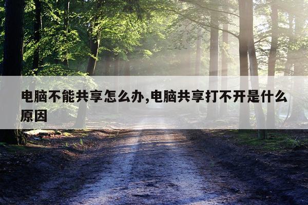 电脑不能共享怎么办,电脑共享打不开是什么原因