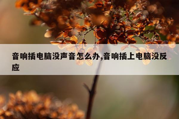 音响插电脑没声音怎么办,音响插上电脑没反应