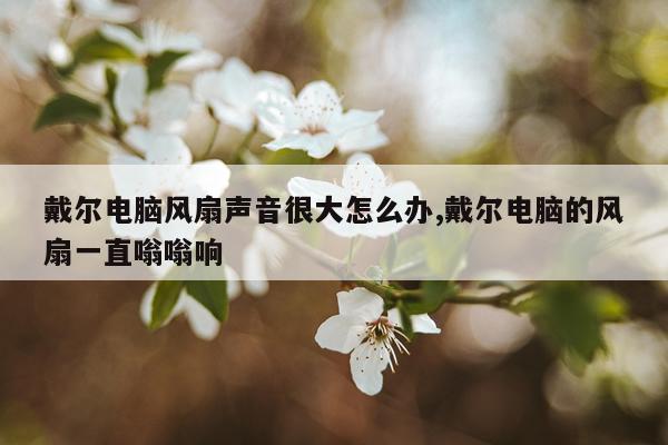 戴尔电脑风扇声音很大怎么办,戴尔电脑的风扇一直嗡嗡响