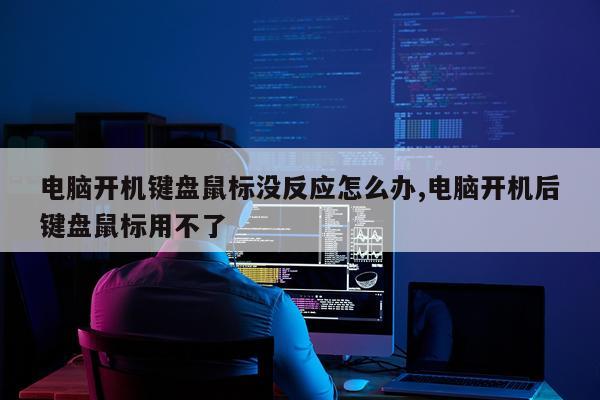 电脑开机键盘鼠标没反应怎么办,电脑开机后键盘鼠标用不了