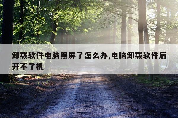 卸载软件电脑黑屏了怎么办,电脑卸载软件后开不了机