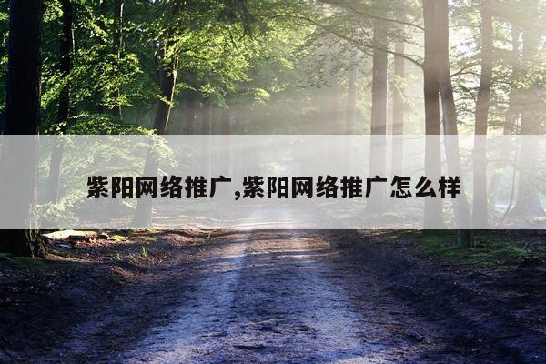 紫阳网络推广,紫阳网络推广怎么样