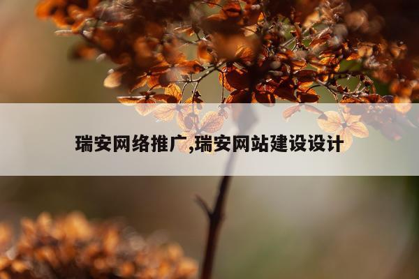 瑞安网络推广,瑞安网站建设设计