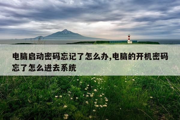 电脑启动密码忘记了怎么办,电脑的开机密码忘了怎么进去系统