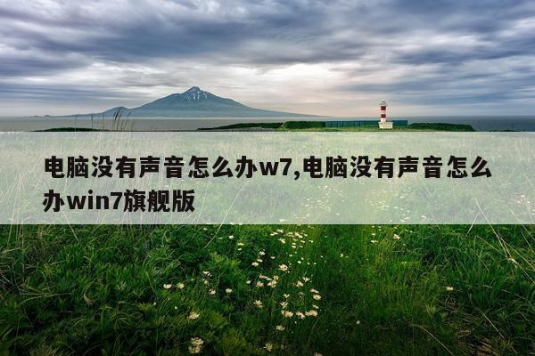 电脑没有声音怎么办w7,电脑没有声音怎么办win7旗舰版