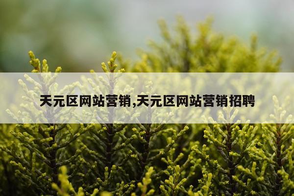 天元区网站营销,天元区网站营销招聘