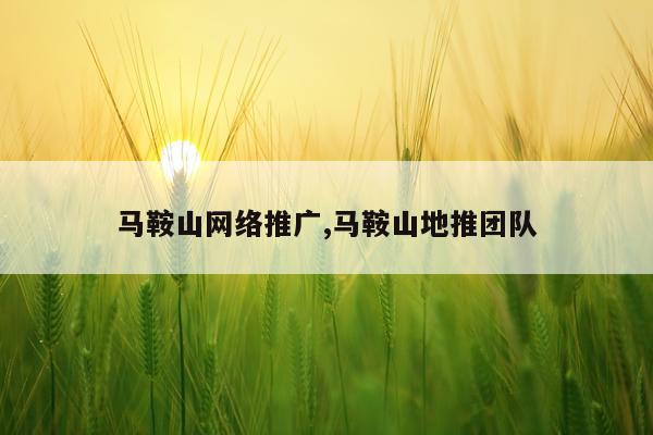 马鞍山网络推广,马鞍山地推团队