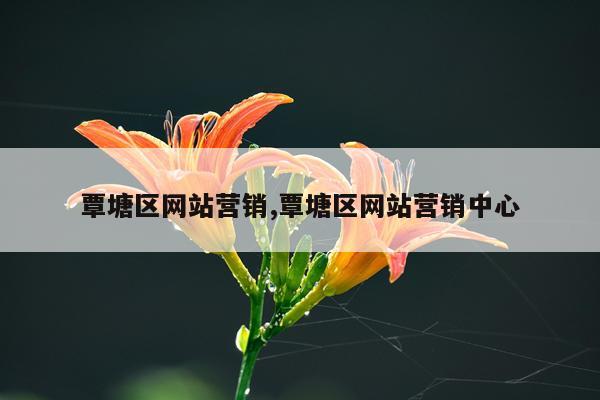 覃塘区网站营销,覃塘区网站营销中心