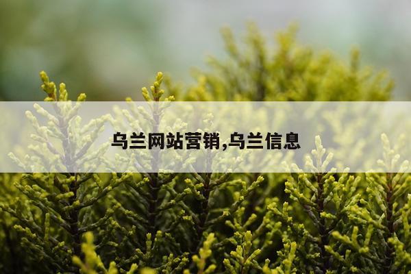 乌兰网站营销,乌兰信息