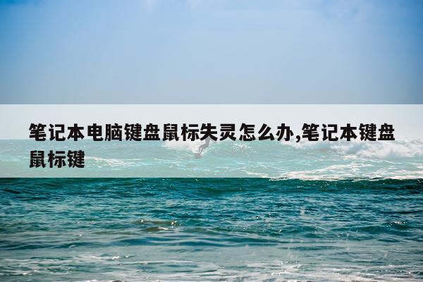笔记本电脑键盘鼠标失灵怎么办,笔记本键盘鼠标键