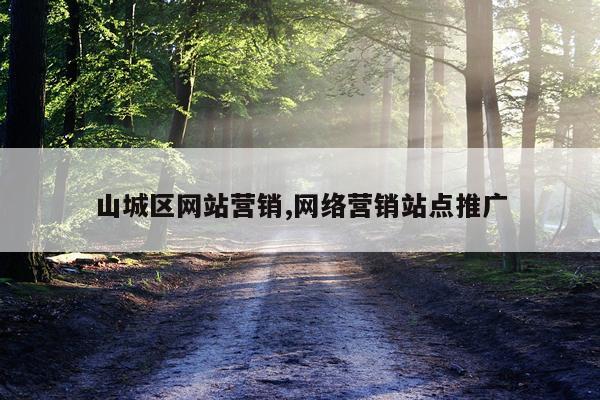 山城区网站营销,网络营销站点推广