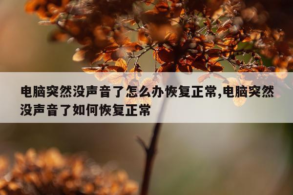 电脑突然没声音了怎么办恢复正常,电脑突然没声音了如何恢复正常