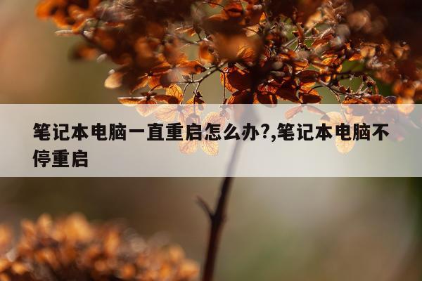笔记本电脑一直重启怎么办?,笔记本电脑不停重启