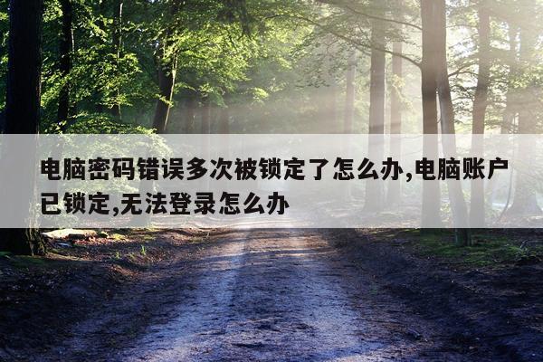 电脑密码错误多次被锁定了怎么办,电脑账户已锁定,无法登录怎么办