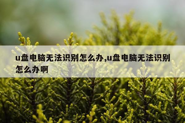 u盘电脑无法识别怎么办,u盘电脑无法识别怎么办啊