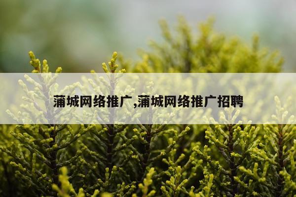 蒲城网络推广,蒲城网络推广招聘