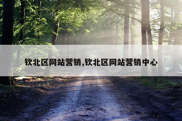 钦北区网站营销,钦北区网站营销中心